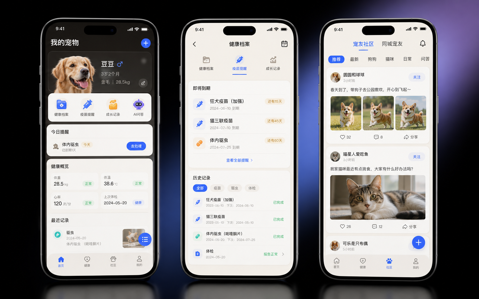 宠物服务 App 项目界面